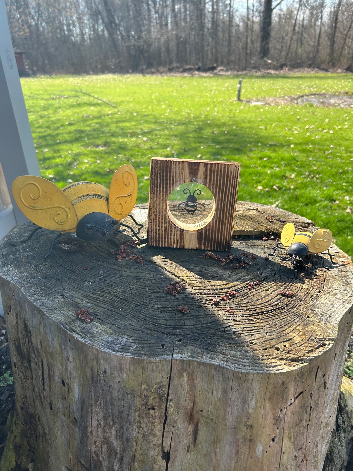 The Buzz Block Carpenter Bee trap