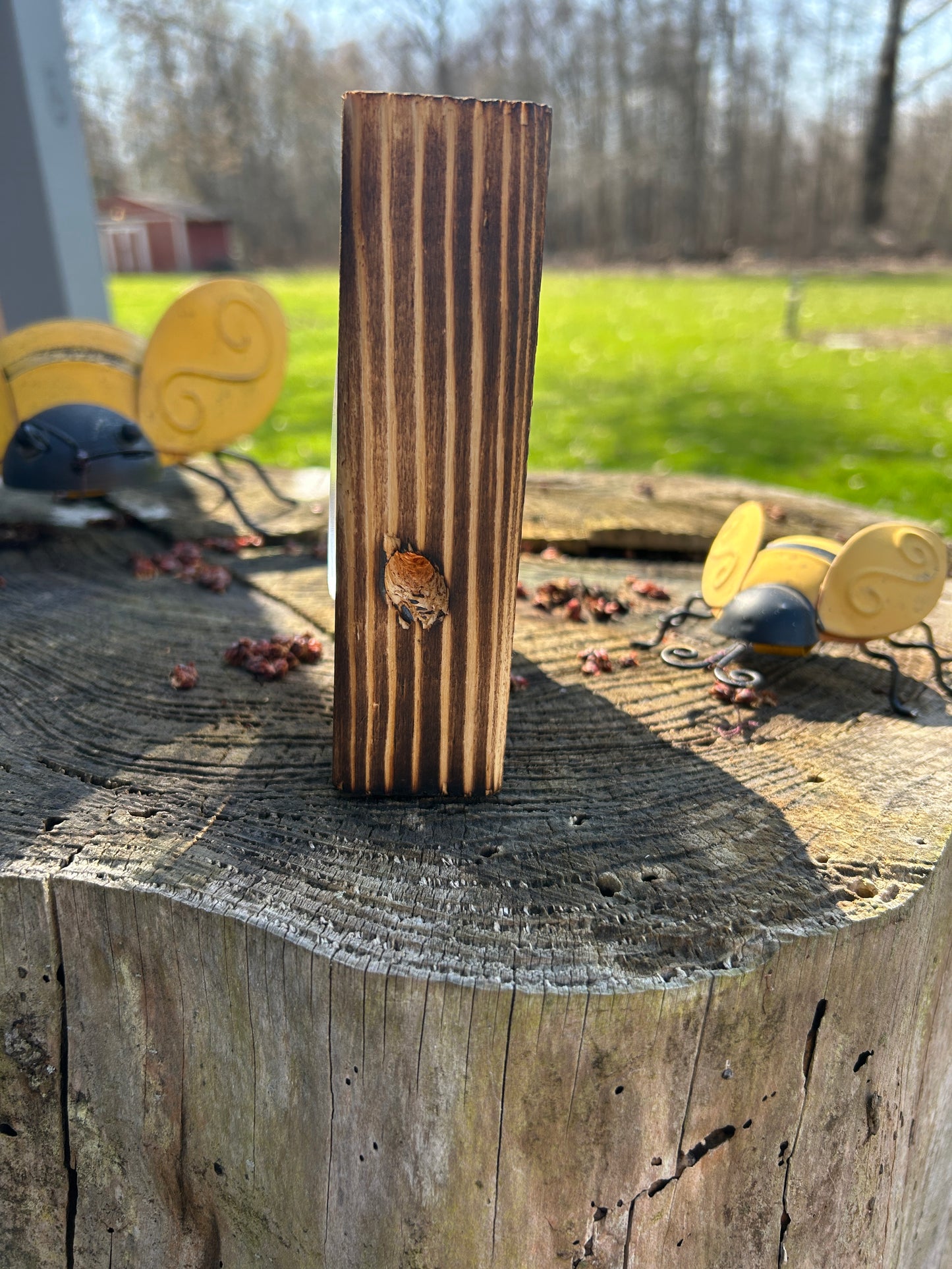 The Buzz Block Carpenter Bee trap