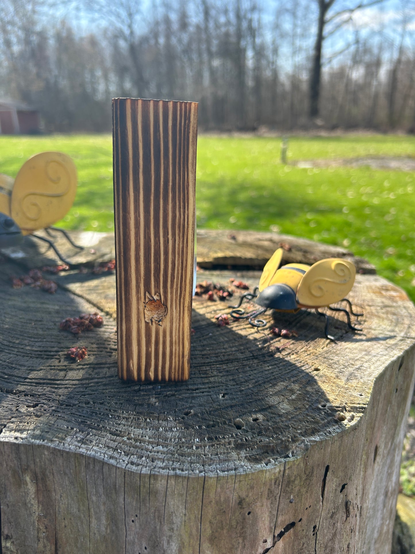 The Buzz Block Carpenter Bee trap